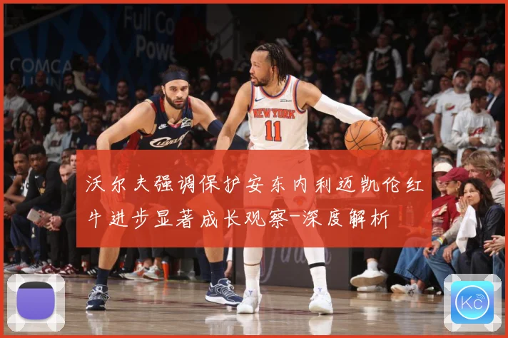 沃尔夫强调保护安东内利迈凯伦红牛进步显著成长观察-深度解析
