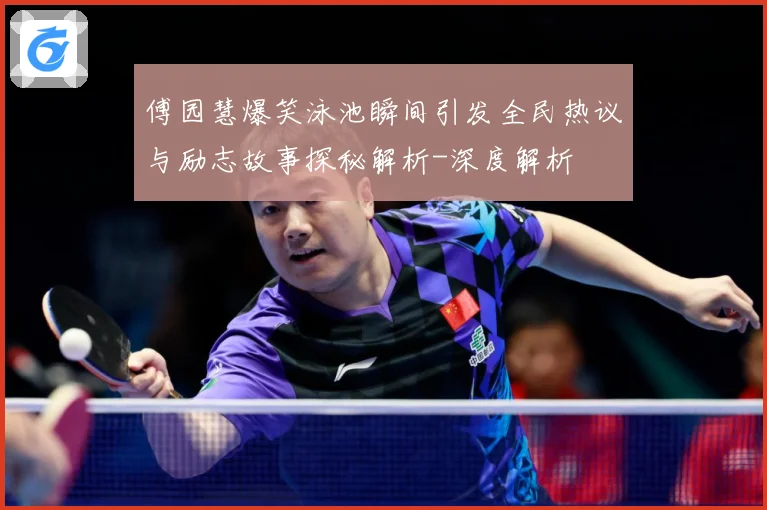 傅园慧爆笑泳池瞬间引发全民热议与励志故事探秘解析-深度解析
