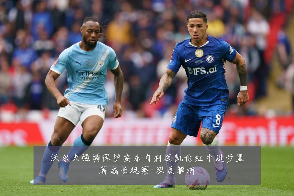 沃尔夫强调保护安东内利迈凯伦红牛进步显著成长观察-深度解析