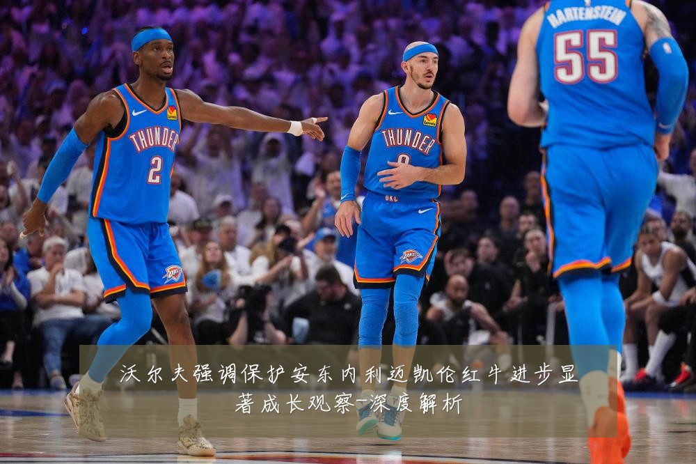 沃尔夫强调保护安东内利迈凯伦红牛进步显著成长观察-深度解析