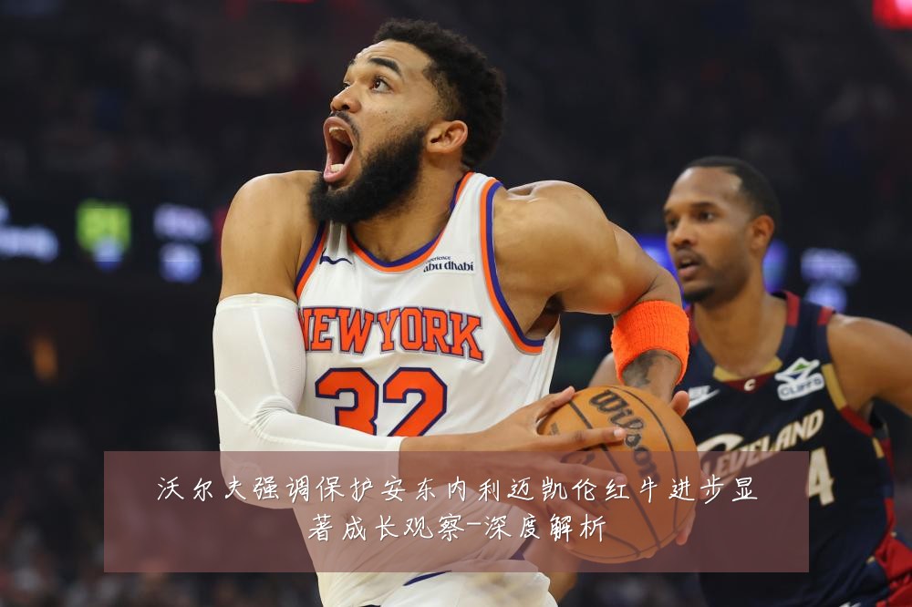 沃尔夫强调保护安东内利迈凯伦红牛进步显著成长观察-深度解析